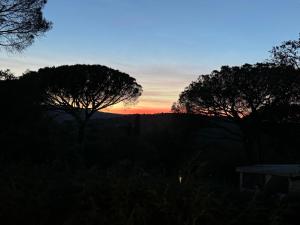 Appartements Mobil-home Parc Montana Gassin : photos des chambres