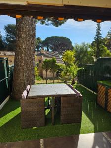 Appartements Studio MANON A2 : photos des chambres