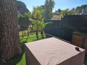 Appartements Studio MANON A2 : photos des chambres