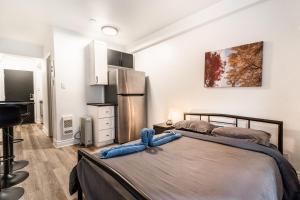 Studio apartment in Plateau Mont-Royal - 102