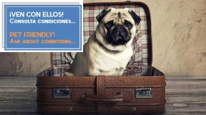 PUERTA del MAR Family Home by Cadiz4Rentals