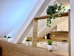 Apartmán U Bobovky - Lipno nad Vltavou