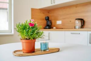 Apartmány Kašperské Hory