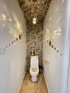 Villas Superbe villa a 2 km centre ville de Colmar : photos des chambres