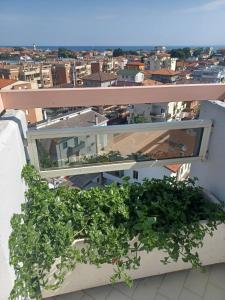 LA TORRE DEL GABBIANO