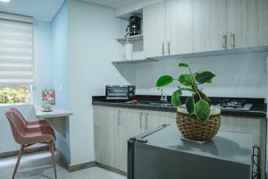 HELICONIA Enjoy new comfortable studio apartment with terrace
