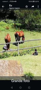 T1 na Casa da Quinta S José