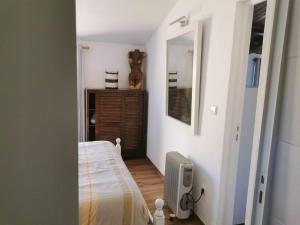 T1 na Casa da Quinta S José