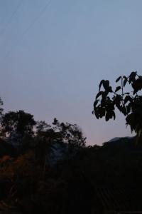 Sapiens house "cabaña del Río"