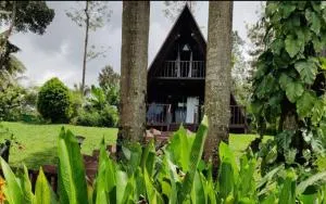 Chandramukuta Retreats by StayApart - Avathi