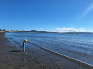 Cabañas Bosquemar 1