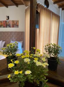 Appleton Villa Nuwaraeliya