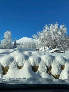 Apartmán Srnka s výhľadom na Vysoké Tatry