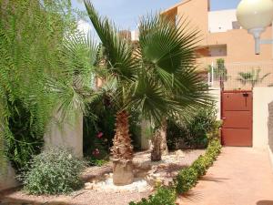 Apartamento en Playa Flamenca (residencial El Bosque)