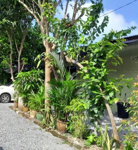 Hidden Homestay