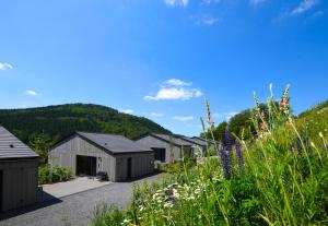 Sauerland Lodge - Haus X