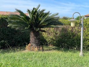 villa elena piscina privata img54