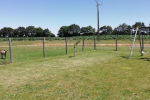 Maisons de vacances Gite la Gordoniere - Maison de campagne a Challans en Vendee : photos des chambres