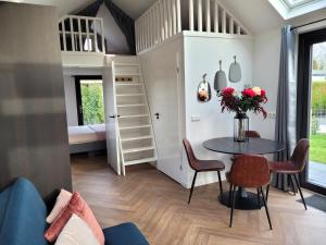 Tiny Zen House in Heinkenszand with private sauna, airco, outdoor swimming pool, WiFi and 2 bedrooms