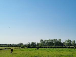 Villas Domaine de la Tapie de Bouchet - en Camargue : photos des chambres