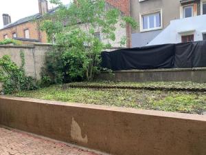 Appartements Magnifique cosy a 10 min de la place Ducale : photos des chambres
