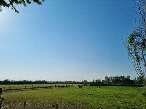 Villas Domaine de la Tapie de Bouchet - en Camargue : photos des chambres