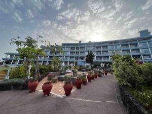 D-espacios elevados Quinta