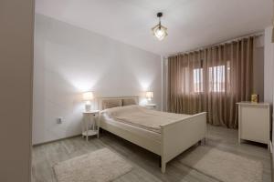 Apartament Alexandru - central