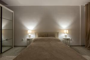 Apartament Alexandru - central