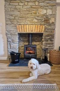 Riverbank Cottage, Dog Friendly. Swansea, Llanelli