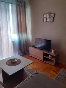 Apartman MS