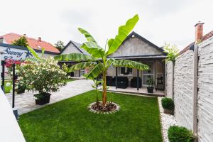 Sunny Garden Apartment