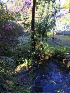 The singing frogs studio - Dunvegan