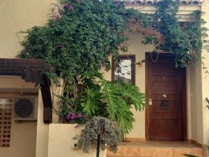 Townhouse Los Olivos M