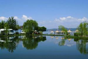 Trasimeno Glamping Resort