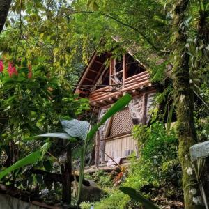 Cabaña Eco-Río CristalinoHamacasFogata