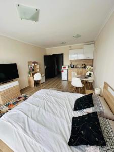 Sun Wave Sea and Pool View