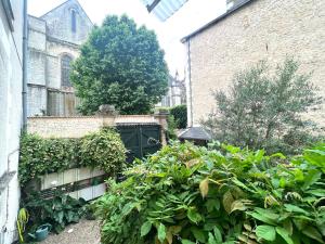 Appartements Le Cardinal - Grand appart en centre historique : photos des chambres
