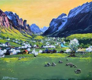 Dedushi camping place