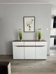 Apartament Górczyn 18 HGS Home - Zdroisko