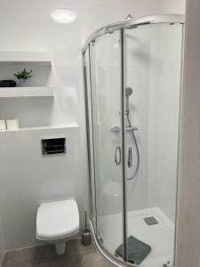 Apartament Górczyn 14 HGS Home