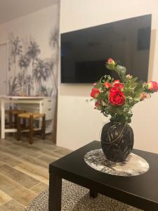 Appartements Villa LCP Jacuzzi exterieur & sauna : photos des chambres