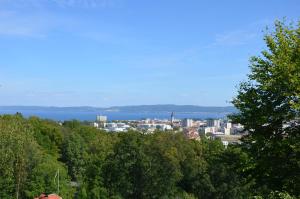 Svf Hotell & Konferens