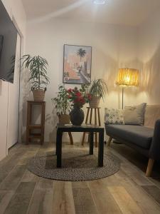 Appartements Villa LCP Jacuzzi exterieur & sauna : photos des chambres