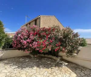 La maison sur la côte - 弗勒里