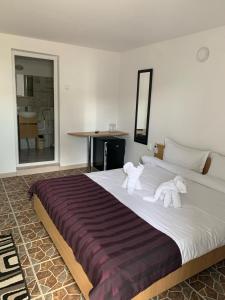Superior Double Room room in Complex Minerva