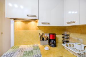 Riviera Beach Anemone