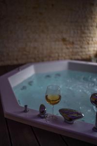 Popovic SPA house Tara