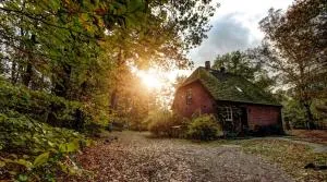 Gut Thansen Forsthaus - Soderstorf