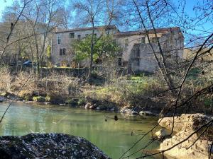 Maisons de vacances Le Moulin de Mirande : photos des chambres